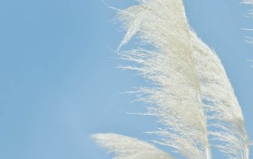 非凡娱乐如何在短短三个月内实现行业逆袭？