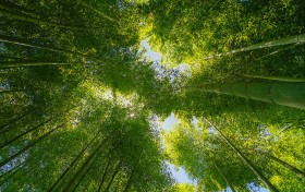 今晚的香港六合彩开奖时间，你是否准备好了？